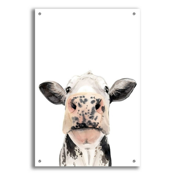 Epic Art 'Watercolor Cow Portrait II' by Grace Popp, Acrylic Glass Wall Art, 24"x36"