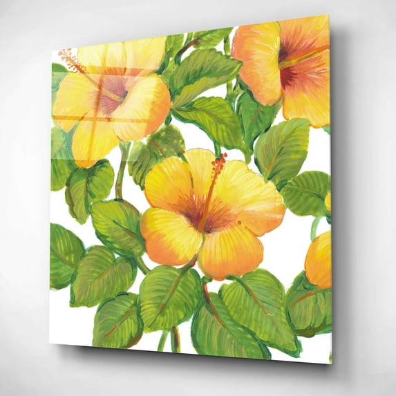 Epic Art 'Watercolor Hibiscus III' by Tim O'Toole, Acrylic Glass Wall Art, 12"x12"