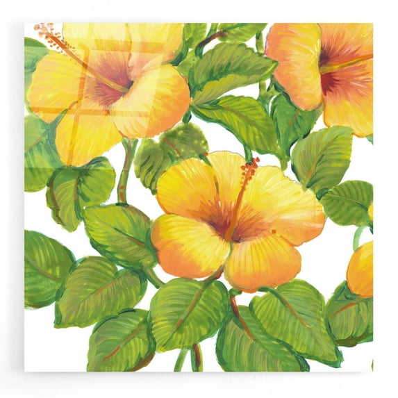 Epic Art 'Watercolor Hibiscus III' by Tim O'Toole, Acrylic Glass Wall Art, 24"x24"