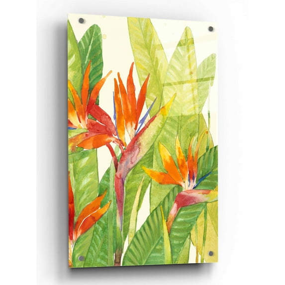Epic Art 'Watercolor Tropical Flowers IV' by Tim O'Toole, Acrylic Glass Wall Art, 24"x36"