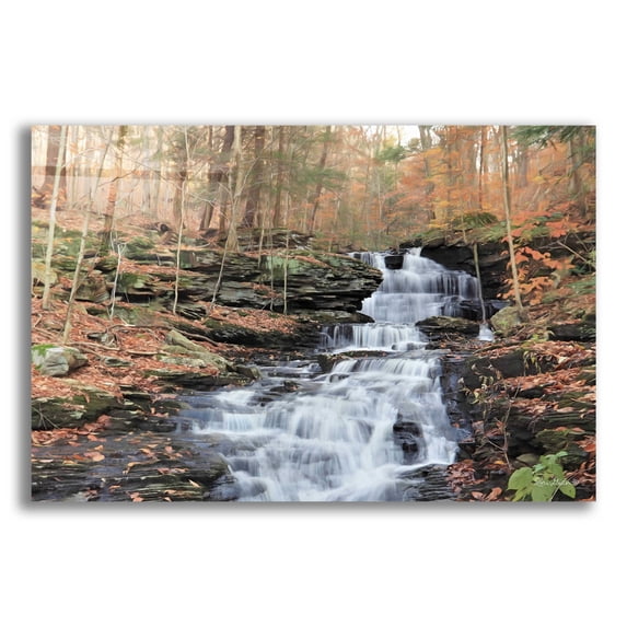 Epic Art 'Waterfall Steps at Pigeon Run' by Lori Deiter Acrylic Glass Wall Art, 16"x12"