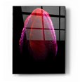 thumbnail image 1 of Epic Art "Wet" by Darren White, Acrylic Glass Wall Art, 16"x24", 1 of 2