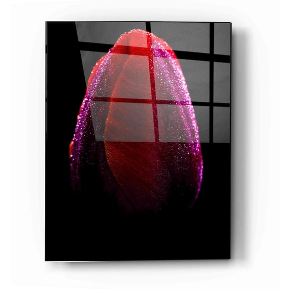 Epic Art "Wet" by Darren White, Acrylic Glass Wall Art, 16"x24"