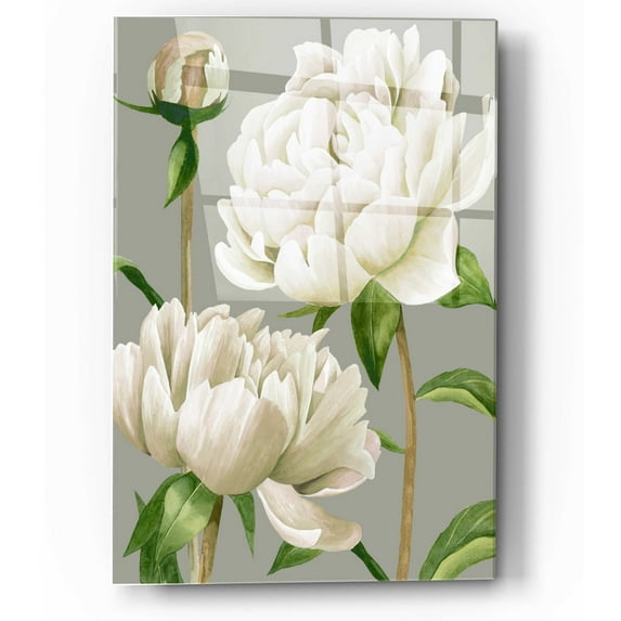 Epic Art 'White Peonies I' by Grace Popp, Acrylic Glass Wall Art, 12"x16"