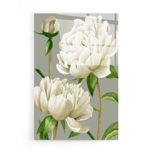 Epic Art 'White Peonies I' by Grace Popp, Acrylic Glass Wall Art, 16"x24"