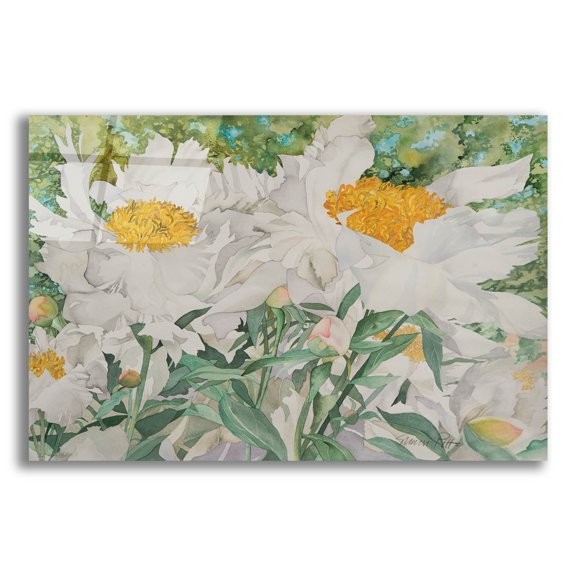 Epic Art 'White Peonies' by Sharon Pitts, Acrylic Glass Wall Art, 24"x16"