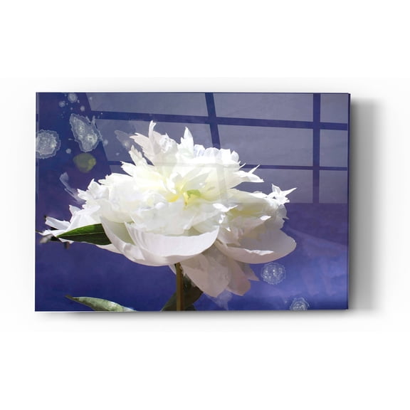 Epic Art 'White Peony-Scents of Heaven' by Irena Orlov, Acrylic Glass Wall Art, 24"x36"