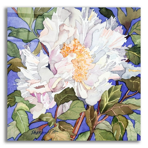 Epic Art 'White Peony' by Sharon Pitts, Acrylic Glass Wall Art, 12"x12"