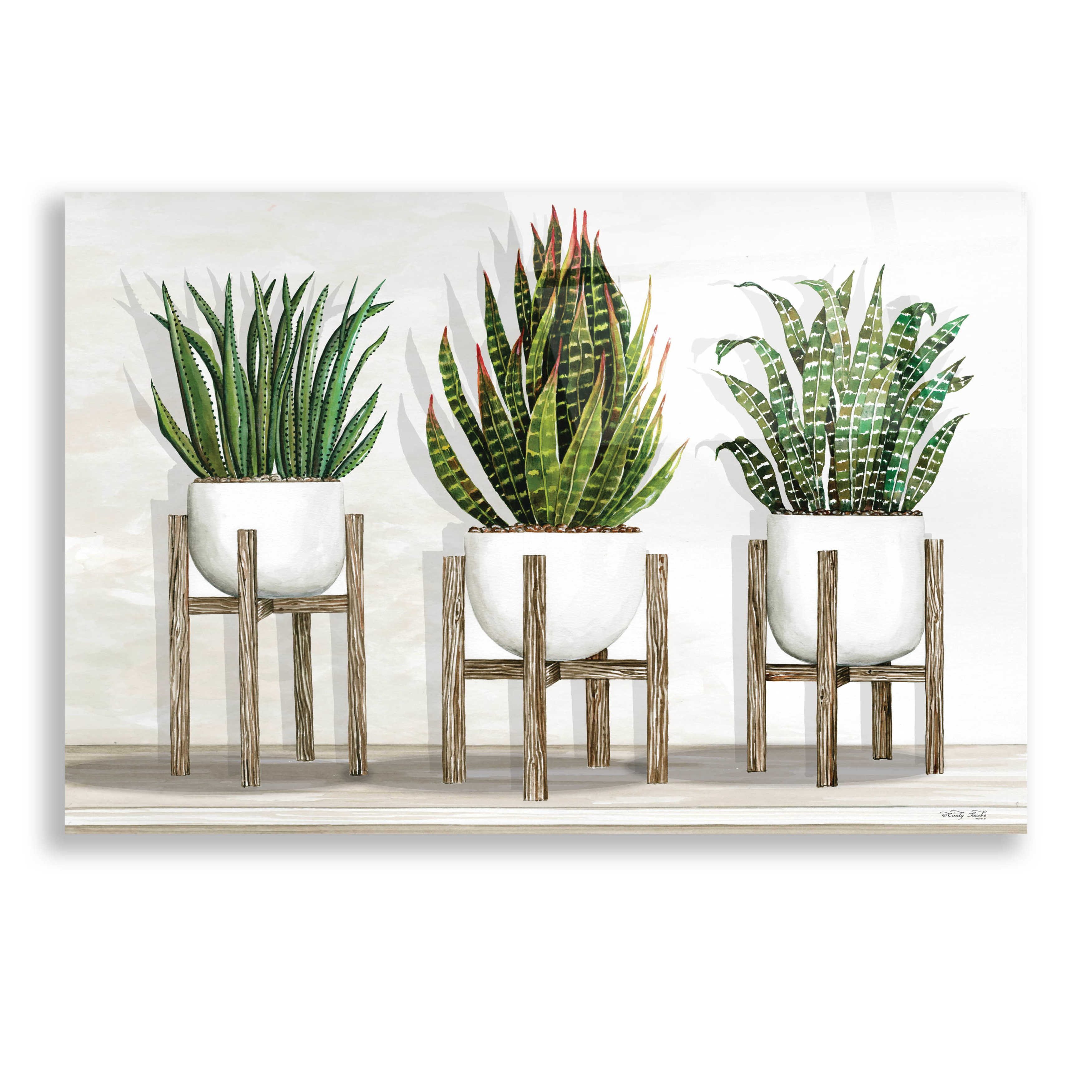 Epic Art 'White Pots on Stands I' by Cindy Jacobs, Acrylic Glass Wall ...