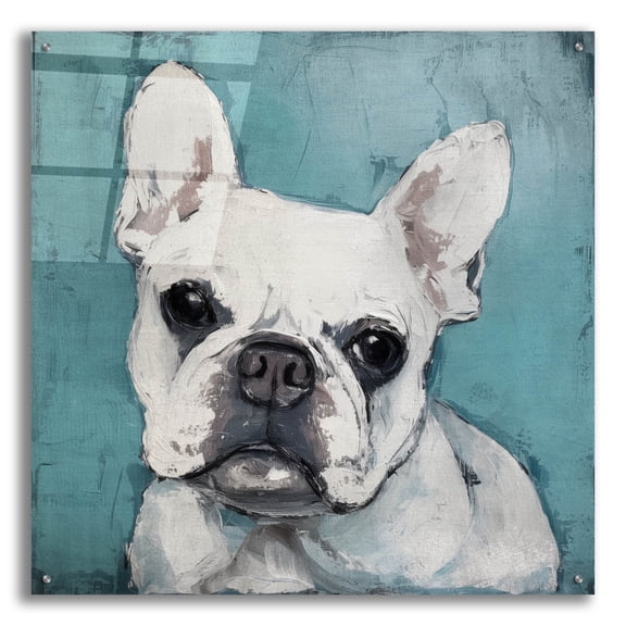 Epic Art 'White Pup Charm' by Svetlana Aleynikova Acrylic Glass Wall Art, 36" x 36"