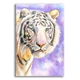 thumbnail image 1 of Epic Art 'White Tiger' by Barbara Keith, Acrylic Glass Wall Art, 12"x16", 1 of 8