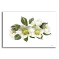 thumbnail image 1 of Epic Art 'White Wildflowers' by House Fenway, Acrylic Glass Wall Art, 16"x12", 1 of 8