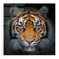 Epic Art 'Wild Side,' Acrylic Glass Wall Art, 12"x12"