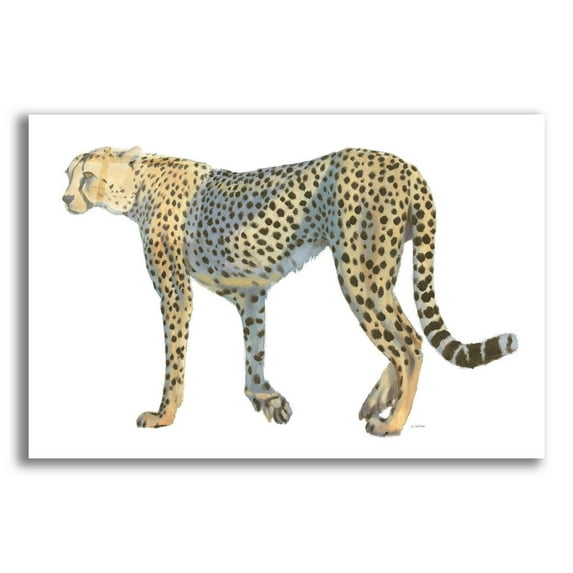 Epic Art 'Wild and Free VII' by James Wiens, Acrylic Glass Wall Art, 16"x12"