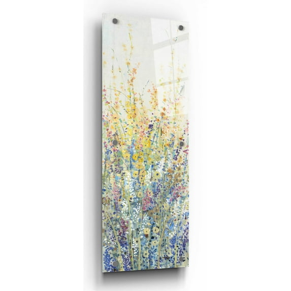 Epic Art 'Wildflower Panel II' by Tim O'Toole, Acrylic Glass Wall Art, 12"x36"