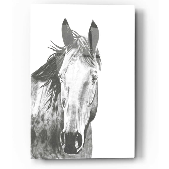 Epic Art 'Wildlife Snapshot Horse I' by Naomi McCavitt, Acrylic Glass Wall Art, 12"x16"