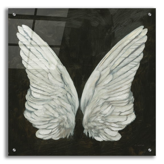 Epic Art 'Wings 1' by James Wiens Acrylic Glass Wall Art, 24" x 24"