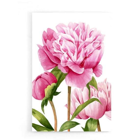Epic Art 'Winsome Peonies II' by Grace Popp Acrylic Glass Wall Art, 16"x24"