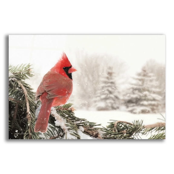 Epic Art 'Winter Perch' by Lori Deiter Acrylic Glass Wall Art, 16"x12"