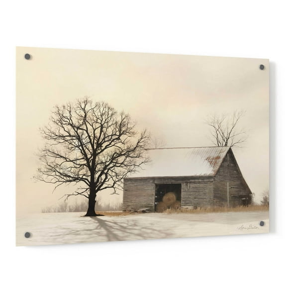 Epic Art 'Winter Shadows' by Lori Deiter, Acrylic Glass Wall Art, 36"x24"