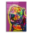 thumbnail image 1 of Epic Art 'Without Regret' by Dean Russo Acrylic Glass Wall Art, 24" x 36", 1 of 8