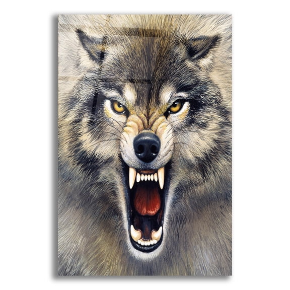 Epic Art 'Wolf' by Harro Maass, Acrylic Glass Wall Art, 16"x24"