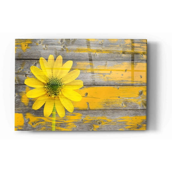 Epic Art "Wood Series: Rustic Daisy" Acrylic Glass Wall Art, 16"x24"