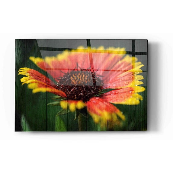 Epic Art "Wood Series: Sunburst" Acrylic Glass Wall Art, 16"x24"