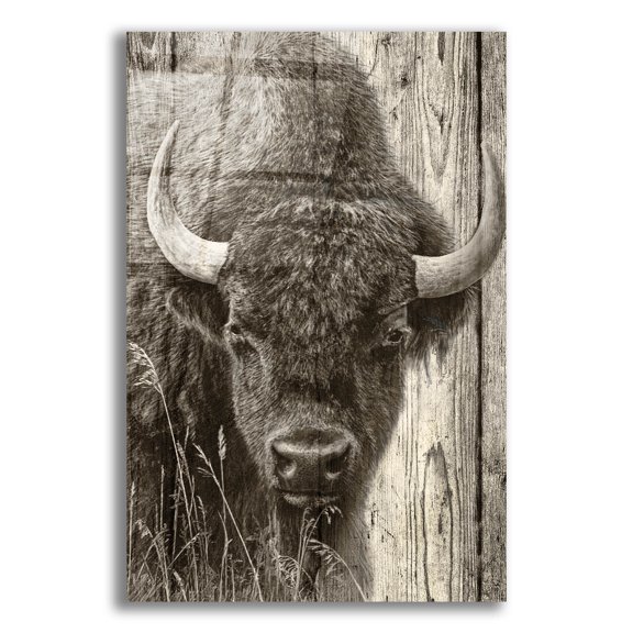 Epic Art 'Woodgrain Antiques 03' by Gordon Semmens Acrylic Glass Wall Art, 12" x 16"