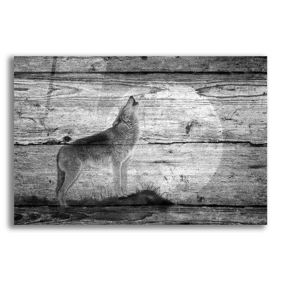 Epic Art 'Woodgrain Antiques 08' by Gordon Semmens, Acrylic Glass Wall Art, 16"x12"