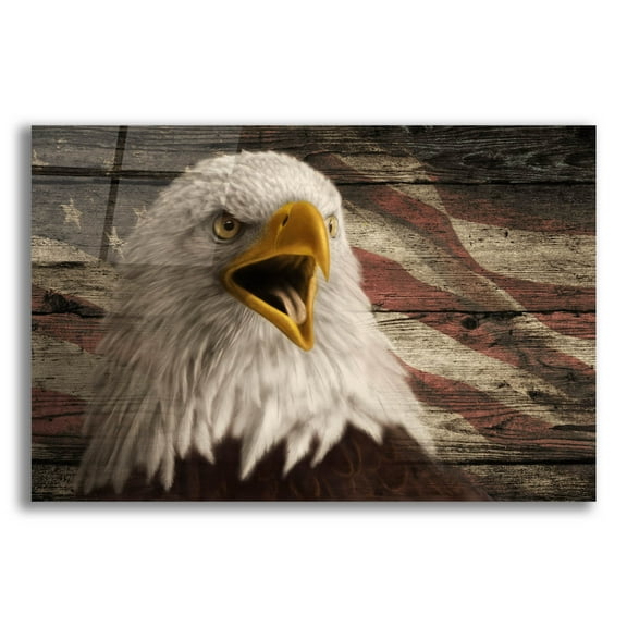 Epic Art 'Woodgrain Antiques Bald Eagle 3' by Gordon Semmens Acrylic Glass Wall Art, 16" x 12"