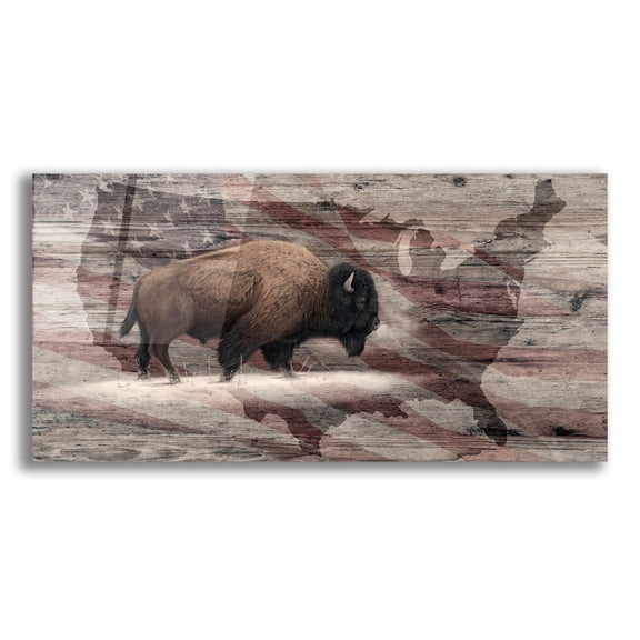 Epic Art 'Woodgrain Antiques Bison Usa' by Gordon Semmens Acrylic Glass Wall Art, 24" x 12"