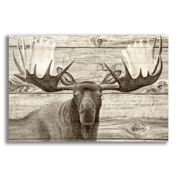 Epic Art 'Woodgrain Antiques Moose' by Gordon Semmens Acrylic Glass Wall Art, 16" x 12"