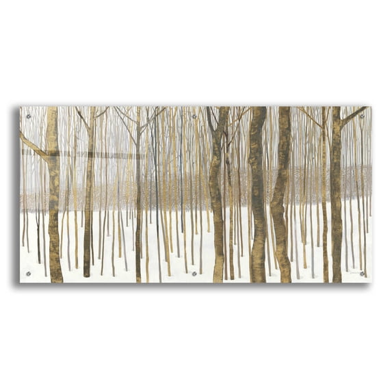 Epic Art 'Woods in Winter Gold' by Katherine Lovell, Acrylic Glass Wall Art, 48"x24"