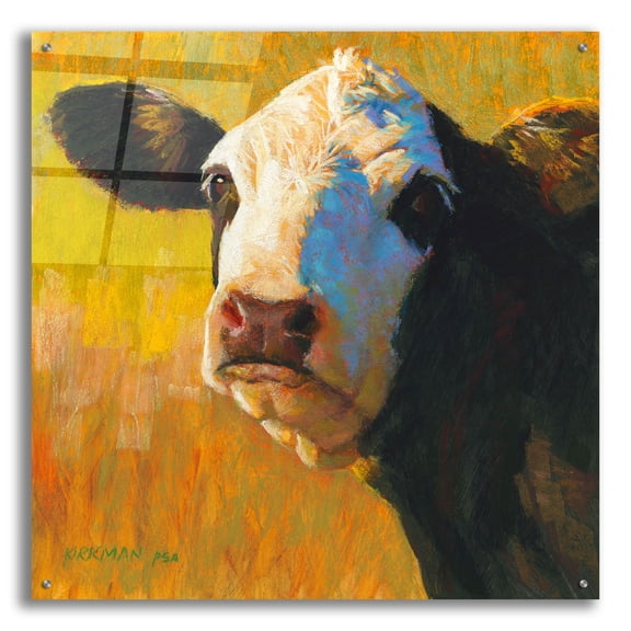 Epic Art 'Yin2 by Rita Kirkman, Acrylic Glass Wall Art, 36" x 36"