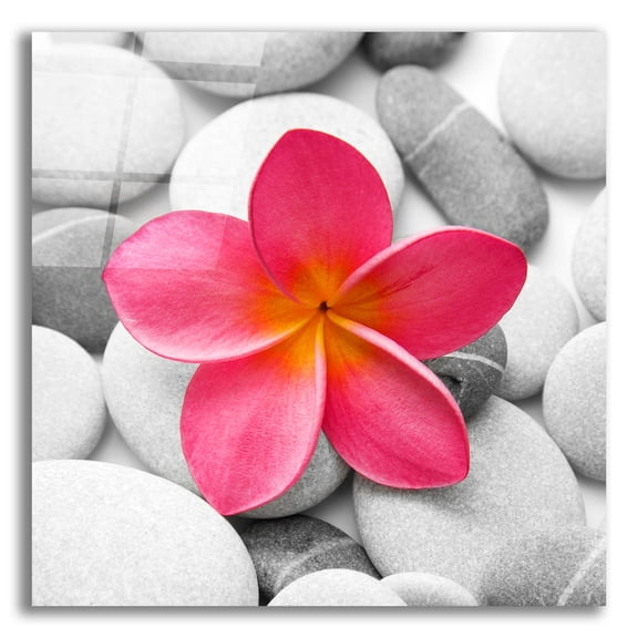 Epic Art 'Zen Flower' by Photoinc Studio, Acrylic Glass Wall Art, 12"x12"