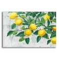 thumbnail image 1 of Epic Art 'Zesty Lemons' by James Wiens, Acrylic Glass Wall Art, 24"x16", 1 of 8