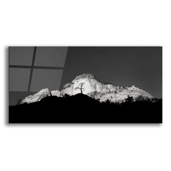 Epic Art 'Zion Tree Silhouette' by Thomas Haney, Acrylic Glass Wall Art, 24"x12"