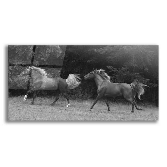 Epic Art 'magnolia and cruz ' by Susan Friedman, Acrylic Glass Wall Art, 24"x12"