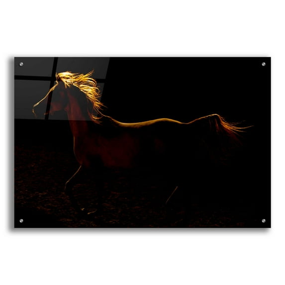 Epic Art 'rim light' by Susan Friedman, Acrylic Glass Wall Art, 36"x24"