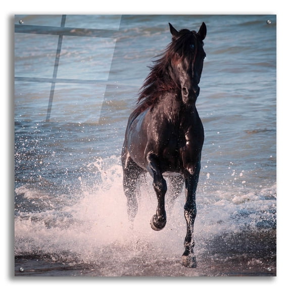 Epic Art 'wet' by Susan Friedman, Acrylic Glass Wall Art, 36"x36"