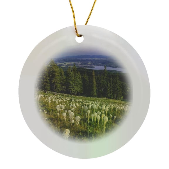 3drose, Epic Beargrass Bloom on Big Mountain in Whitefish, Montana, Usa, Circle Porcelain Ornament