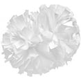 thumbnail image 1 of Epic Cheerleaders (1-Color) Metallic 4" Pom (Each), 1 of 1