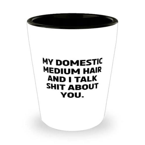 Epic Domestic Mediumhair Cat Shot Glass, My Domestic Medium Hair and I Talk Shit, Cheap Gifts for Cat Lovers, Holiday Gifts, Thankful for friends, Gifts from loved ones, Presents from buddies, Gifts