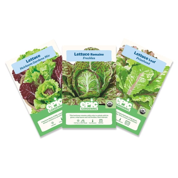 Epic Gardening Lettuce Seed Bundle - 3 Heirloom & Non-GMO Varieties, Includes Freckles Romaine, Heirloom Mix & Prizehead Leaf, Perfect for Fresh Salads, Wraps & Garden-to-Table Meals