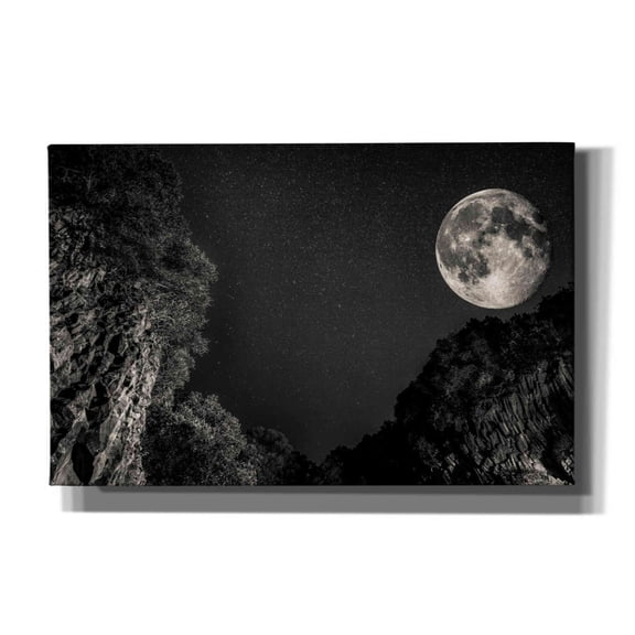 Epic Graffiti '39' by Giuseppe Torre, Canvas Wall Art, 40"x26"