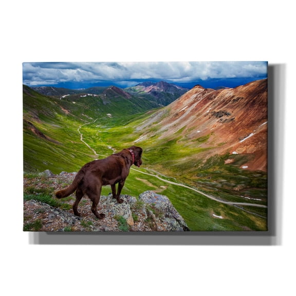 Epic Graffiti 'A Dog On An Adventure' by Jonathan Ross, Canvas Wall Art, 26"x18"