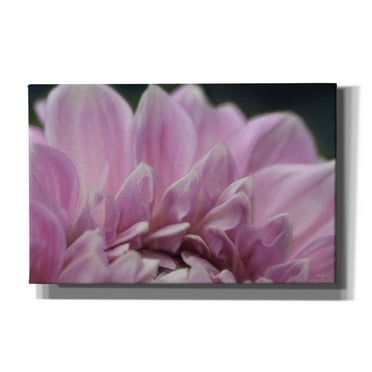 Epic Graffiti 'A Fresh Start' by Lori Deiter, Canvas Wall Art, 40"x26"