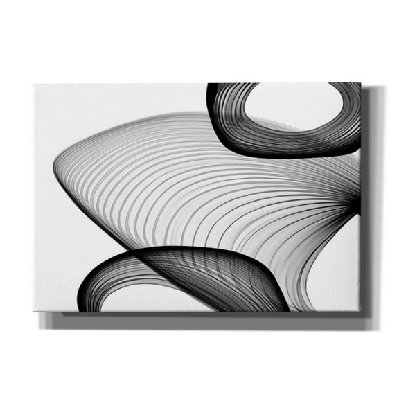 Epic Graffiti 'Abstract Black and White 21-59' by Irena Orlov, Canvas Wall Art, 26"x18"