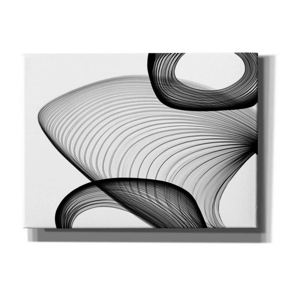 Epic Graffiti 'Abstract Black and White 21-59' by Irena Orlov, Canvas Wall Art, 54"x40"